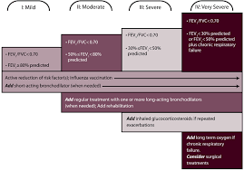 Image result for COPD Staging