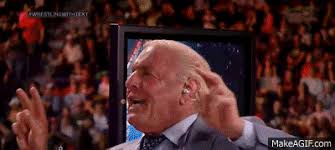 Jun 22, 2021 · in what was very clearly the best match of the night, grayson picked up a victory after catching serpentico in the knightfall. Ric Flair Yes On Make A Gif