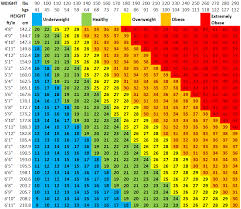 11 What My Bmi Means Bmi Calculator Kg Cm Chart