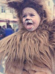 Haushaltsmuffelkarnevals Schmink Gesicht Lowe Haushaltsmuffel Karneval Schminken Gesicht Schminken Schminken