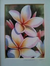 Plumeria Watercolor Tropical Art Print Flower Painting Flower Drawing