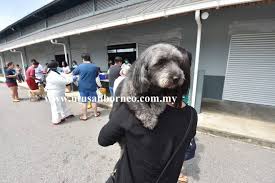 Jika kita berjaya landaikan kes kali ni , masalah virus covid 19 takkan selesai ! Hampir Dua Dekad Tiada Jangkitan Virus Rabies Sarawak Dikejutkan Utusan Borneo Online