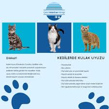 Cakil Veteriner Klinigi Mayis 2020