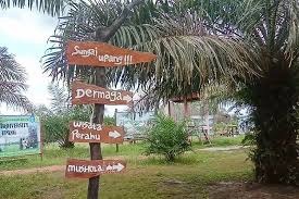 Ianya dibina untuk tujuan simpanan air sebagai persediaan untuk kebakaran. Wisata Baru Di Pulau Bangka Susuri Sungai Upang Halaman All Kompas Com