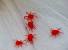Tiny Red Bugs In Bed