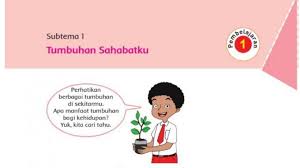 Zakat merupakan salah satu kewajiban bagi umat islam. Kunci Jawaban Tema 1 Kelas 6 Sd Halaman 2 4 5 6 7 8 9 10 12 13 14 15 16 Buku Tematik Pembelajaran 1 Halaman All Tribunnews Com Mobile