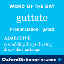 Guttate Definition Of Guttate In English From The Oxford Dictionary Uncommon Words Writing Words Words