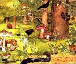 Pueden referirse a la flora y la fauna de un lugar y sus interacciones. Caracteristicas De Los Factores Bioticos Como Se Clasifican