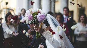 Sapete che servono per #matrimoni di #cani queste, giuro è vero tutto gratis ovviamente , ma si è. Bkwpdhata8i9rm