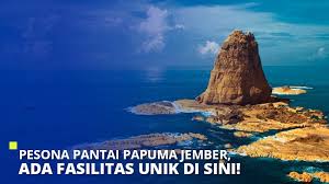 Selain pantai, tempat wisata surabaya ini juga dekat dengan hutan bakau dan juga klenteng sanggar agung, tempat wisata di surabaya lainnya yang bisa 2. Pesona Pantai Papuma Jember Ada Fasilitas Unik Di Sini