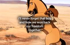 Stallion of the cimarron online full hd. Pin By Mireia On Spirit Stallion Of The Cimarron Spirit The Horse Horse Movies Spirit And Rain