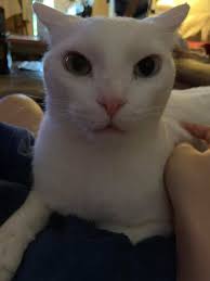 Preflight checks before flying