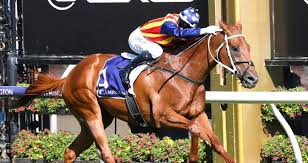 May 13, 2021 · meech, who hasn't ridden since april 12, 2020, has been booked to ride costa maya at warracknabeal for partner mark pegus. We Just Did That Kah In Disbelief After G1 Win On Amazing Nature Strip