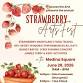 Strawberry Arts Fest — Access the Arts