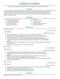 Even within the same industries, companies have different processes and terminology. Business Analyst Cv Template Cv Samples Examples