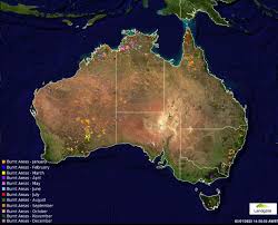 At Least 24 People And Millions Of Animals Have Been Killed By Australia S Bushfires Time