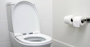 Check spelling or type a new query. Here S Why You Should Always Close The Toilet Lid When You Flush