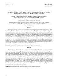 Https Media Neliti Com Media Publications 140055 En Detection Of Edwardsiella Tarda From Afr Pdf