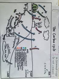 Carbon Cycle Diagram Carbon Cycle Teaching Posters Science Pins