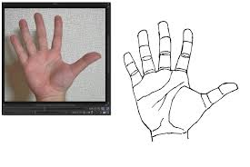 Drawing an anime fist thumb. Tips For Drawing The Simplest Hand By Jahana Clip Studio Tips