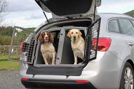 Royal paws® pet transportation is an exclusive pet ground transport company providing private door to door transportation for dogs and puppies everywhere moving team dedicated exclusively to your pet with no other dogs or cats in the vehicle. Why Road Beats Air For Transporting Your Pet Citizenshipper