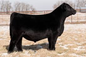 Image result for tbn:mQ4gFlRz1-E7iM::img2.flog.pravda.sk/7ij/ppe_22462_m.jpg