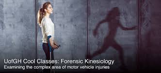 Uofgh Cool Classes Forensic Kinesiology Guelphhumber Ca