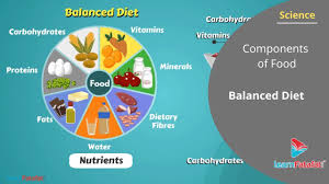 Components Of Food Class 6 Science Balanced Diet Youtube