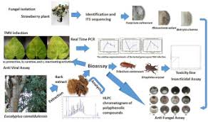 Controlling insect pests is not always easy or practical but often controls need to be applied to lessen the impact of the insects on tree growth and survival. Antiviral Antifungal And Insecticidal Activities Of Eucalyptus Bark Extract Hplc Analysis Of Polyphenolic Compounds Sciencedirect