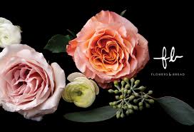 Matzoh (jewish passover bread) and flowers isolated on white. House Of Krauss Flowers Bread
