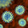 Both are highly contagious, and their symptoms are similar. Https Encrypted Tbn0 Gstatic Com Images Q Tbn And9gcrmf9qpgrzc Pohck0gmiodhz2ispz0azk5bewhku3smcxmb4xc Usqp Cau