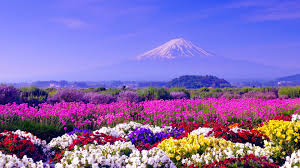 Start your search now and free your phone. Spring In Japan Wallpapers Hd Free Download Pixelstalk Net