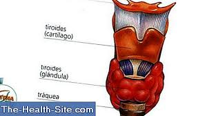 Află de la celebrul dr. Gastric Cancer InterpreteazÄƒ Corect Simptomele È™tiinÈ›ifico Practic Medical Journal 2021