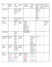 cranial nerve chart v2 maxillary fibers terminal branches