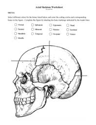 Using the key choices, correctly identify the major tissue types described, enter the appropriate letter or tissue type term in the answer blanks. Skeleton Review Guide