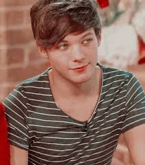 larrystylinson, louis tomlinson and louis