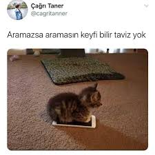 Melek Karakus Adli Kullanicinin Twitter Panosundaki Pin 2020 Komik Tumblr Komik Seyler Komik