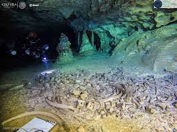 Ancient Human Giant Sloth Remains Found In World S Biggest Flooded Cave Cbc News Underwater Caves Ancient Humans Ancient Mayan