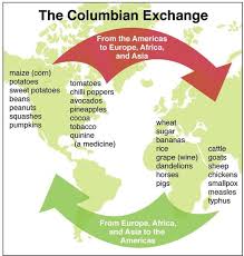 The columbian exchange occurred when christopher columbus introduced concepts of the animals traded in the exchange were also used for hides and tallow, with the products fetching high the diseases which were common in europe were uncommon in north america and the caribbean. Professor Mark Maslin On Twitter 500 Years Ago Europeans Colonised The Americas Kicking Off A Massive Global Exchange Of Plants Animals And Diseases The Columbian Exchange Resulted In The Death Of Over