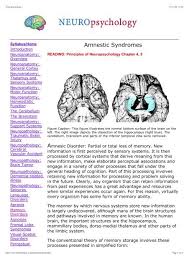 They may be due to a general medical condition or substance related. Amnestic Syndromes The Brain From Top To Bottom