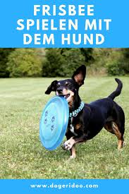 Frisbee Spielen Mit Dem Hund Discdogging Mit Bildern Hunde Begleithund Hundchen Training