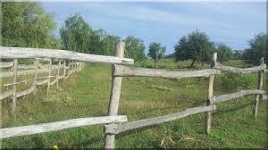 Holzzaun Zaun Pferdeunterstand Weidezaun