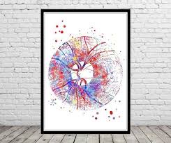 Pin On Anatomy Art Medical Art Science Art
