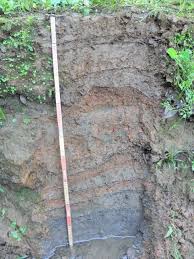 Defining Soil Profiles Munsell Color System Color