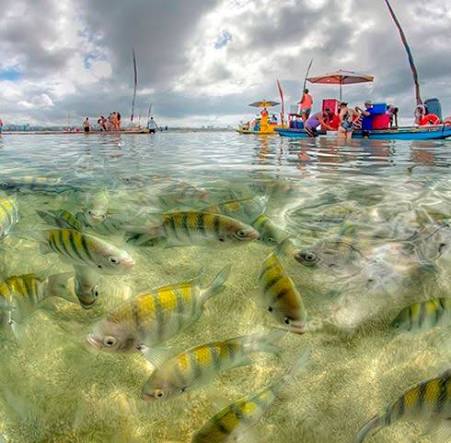 Maceió com Praias do Gunga, Francês & Pratagy Acqua Park GRÁTIS