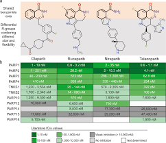 Has had an unofficial maintenance policy. The Kinase Polypharmacology Landscape Of Clinical Parp Inhibitors Scientific Reports