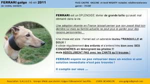 Urgence Pour Ferrari News Association Galgos