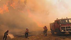 Imagen del incendio de el algarve (efe). Maior Incendio Do Algarve Custou 450 Mil Euros Portugal Correio Da Manha