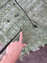 No maintenance, no watering, no sunlight needed. Diy Queen Explains How She Made A Stunning Feature Wall Using Ikea Bargains Mirror Online