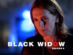 If you see something you want on prime day, buy it. Watch Black Widow Season 4 Prime Video